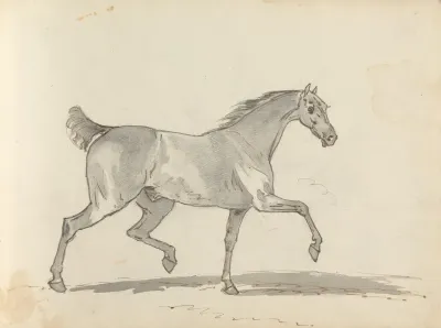 Fourty Three Studies Of Horses And Riders Pl 34