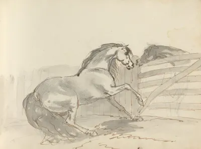Fourty Three Studies Of Horses And Riders Pl 36