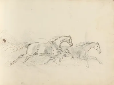 Fourty Three Studies Of Horses And Riders Pl 37