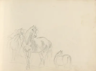 Fourty Three Studies Of Horses And Riders Pl 38