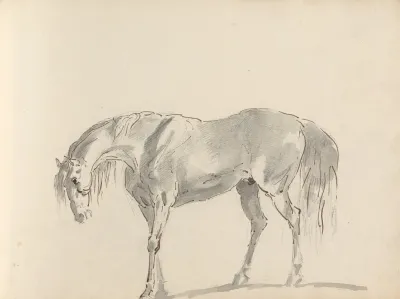 Fourty Three Studies Of Horses And Riders Pl 39