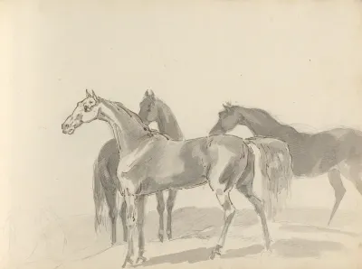 Fourty Three Studies Of Horses And Riders Pl 40