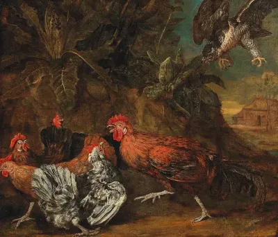 Fowl Attacked By A Bird Of Prey