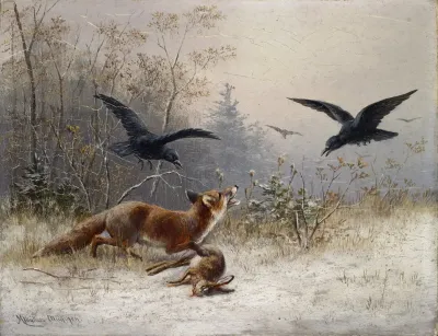 Fox Chasing Rabbits In Winter