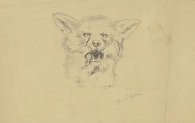 Fox Head