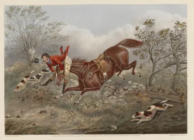 Fox Hunting Foress Hunting Casualties Dispatched To Head Quarters