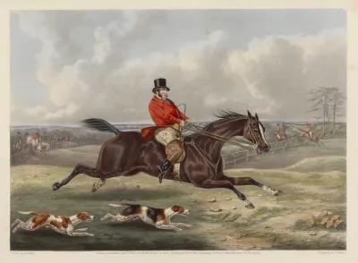 Fox Hunting Foress Hunting Casualties Up To Sixteen Stone