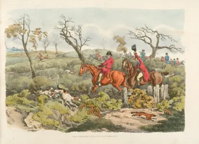 Fox Hunting