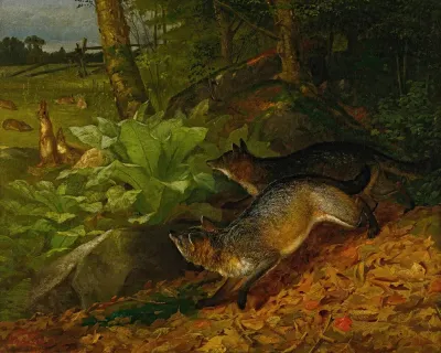 Foxes And Rabbits