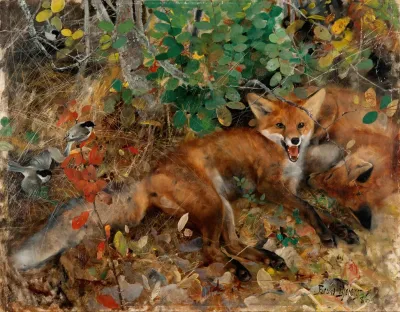 Foxes