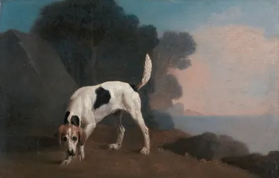 Foxhound On The Scent