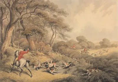 Foxhunting Stopping Hounds That Have Changed