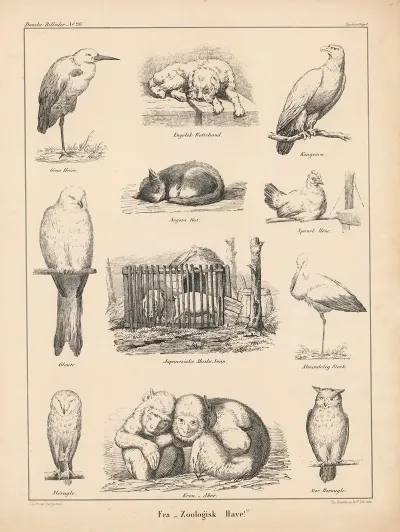 Fra Zoologisk Have