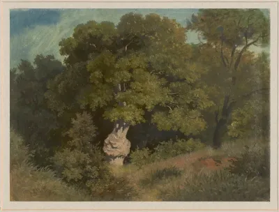 Fragment Of A Forest