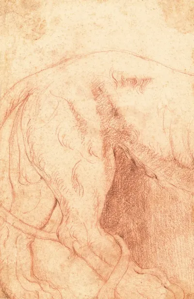 Fragment Of A Lion Bas Relief Verso