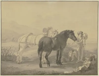 French Horses