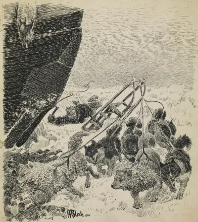 Fridtjof Nansen In His First And Unsuccessful Attempt To Drive A Dog Sled On His Own