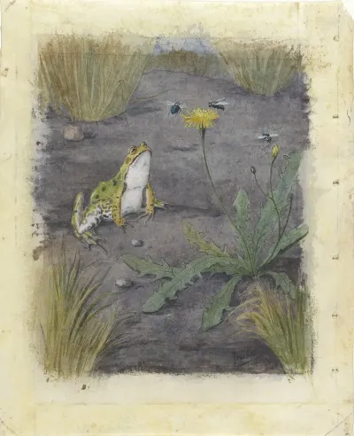Frog By A Dandelion With Flies
