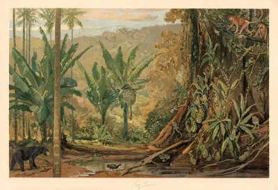 From Borneo