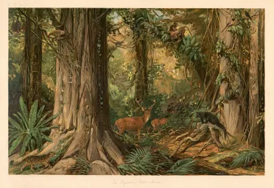 From Indochina Burma