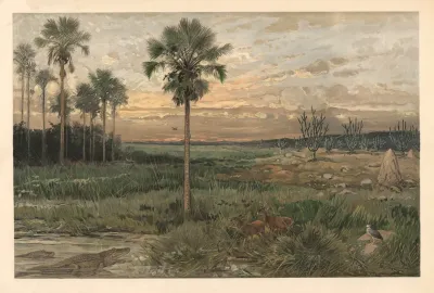 From Llanos