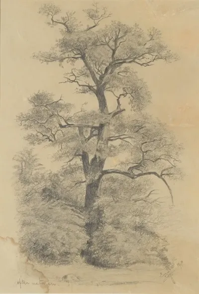 From Nature