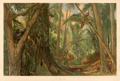 From The Heart Of Ceylon