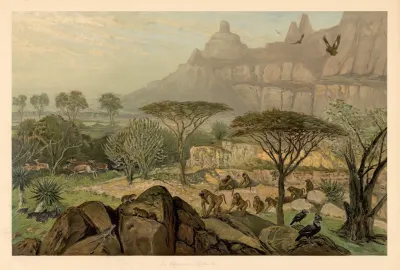 From The Highlands Of Abyssinia