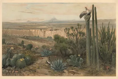 From The Highlands Of Mexico