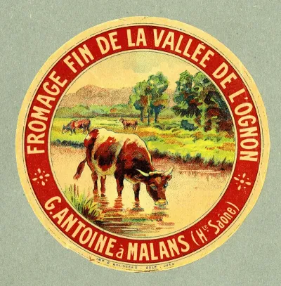 Fromage Fin De La Vallee De Lognon