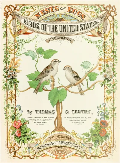 Frontispiece 5