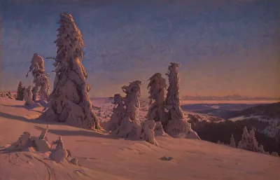 Frozen Fir Trees On The Feldberg