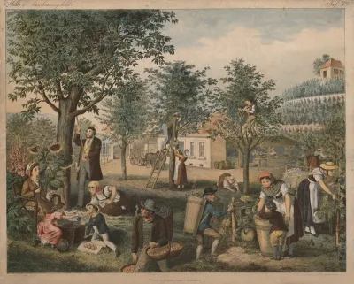 Fruit Harvest 2