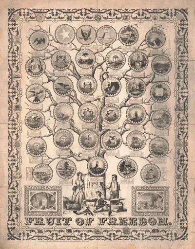 Fruit Of Freedom