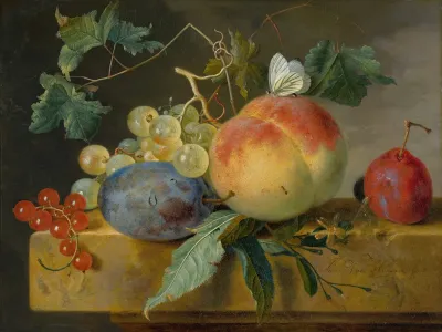 Fruit Still Life 3