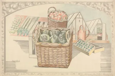 Fruits And Vegetables