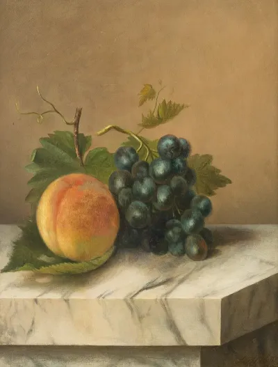 Fruits Still Life