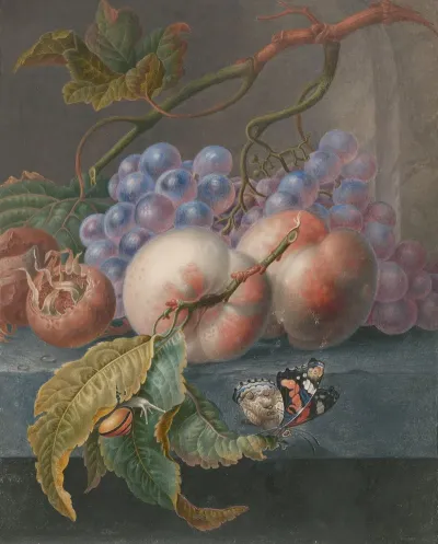 Fruits With A Butterfly And A Snail
