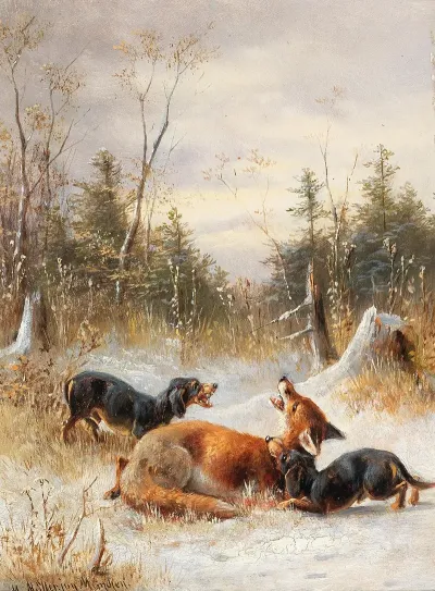 Fuchs Mit Hunden
