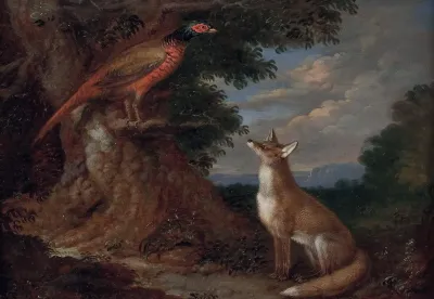 Fuchs Und Fasan In Landschaft