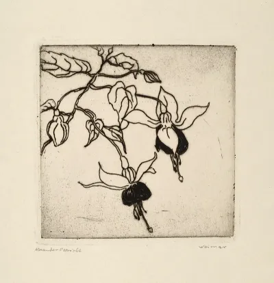 Fuchsien