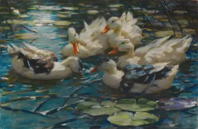 Funf Bunte Enten In Blauem Seerosenwasser