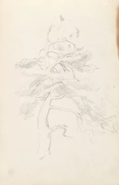 Furu