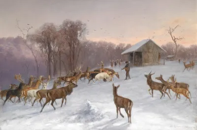 Futterung Von Dam Und Rotwild Im Winter