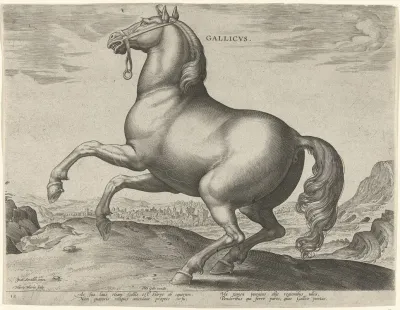 Gallicus