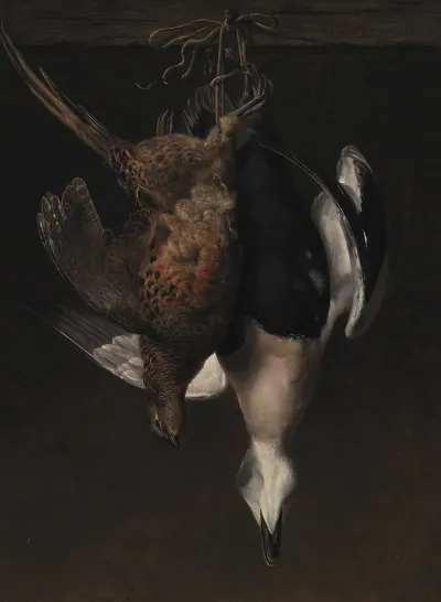 Game A Pheasant And An Eider