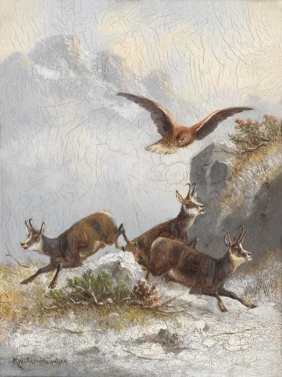 Gamsen Von Adler Verfolgt