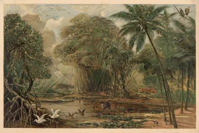 Ganges Delta