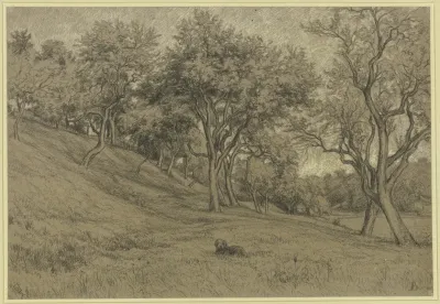 Garden With Fruit Trees