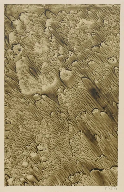 Geadertes Kleisterpapier 2